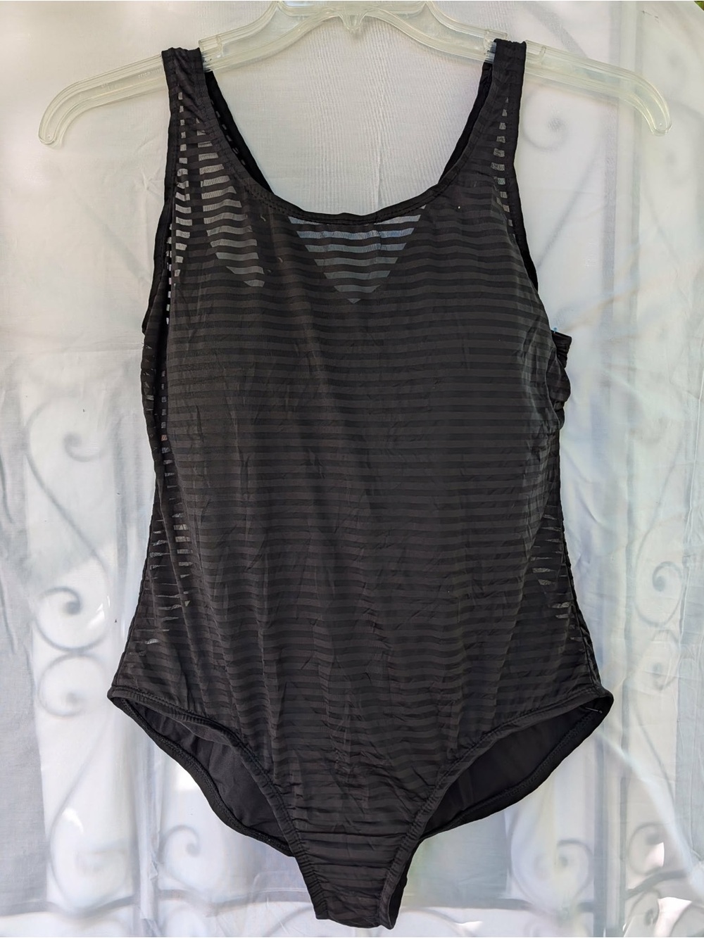 Catalina Black Sheer Stripe One-Piece Swimsuit